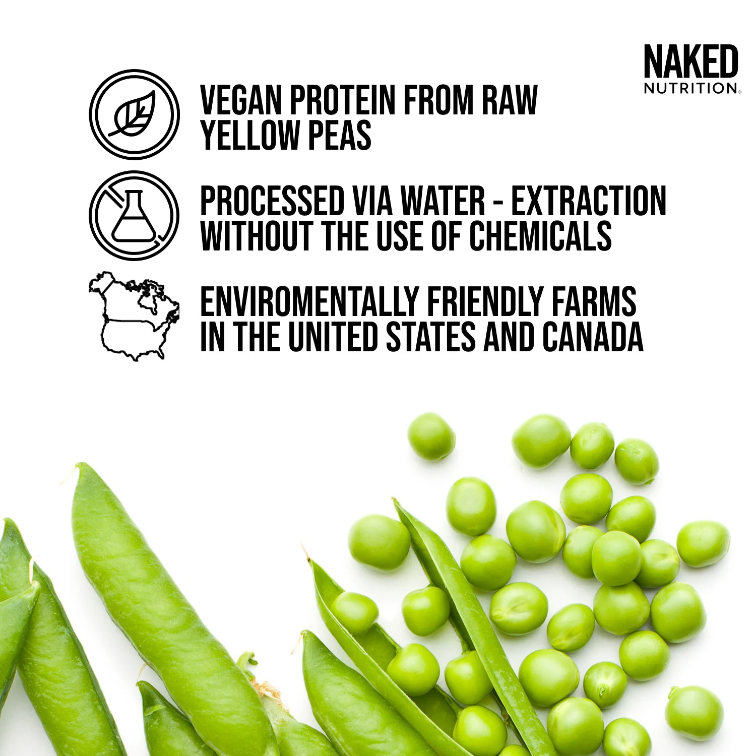 Chocolate Pea Protein Powder | Naked Chocolate Pea - 2LB - Image 2