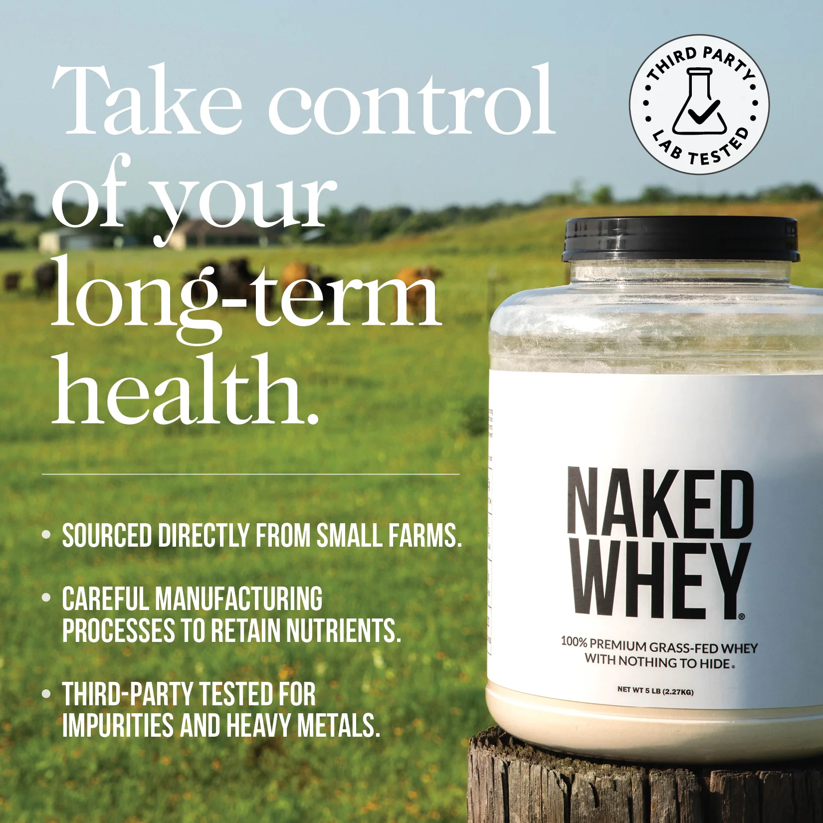 Strawberry Whey Protein Powder | Naked Strawberry Whey - 5LB - Image 6