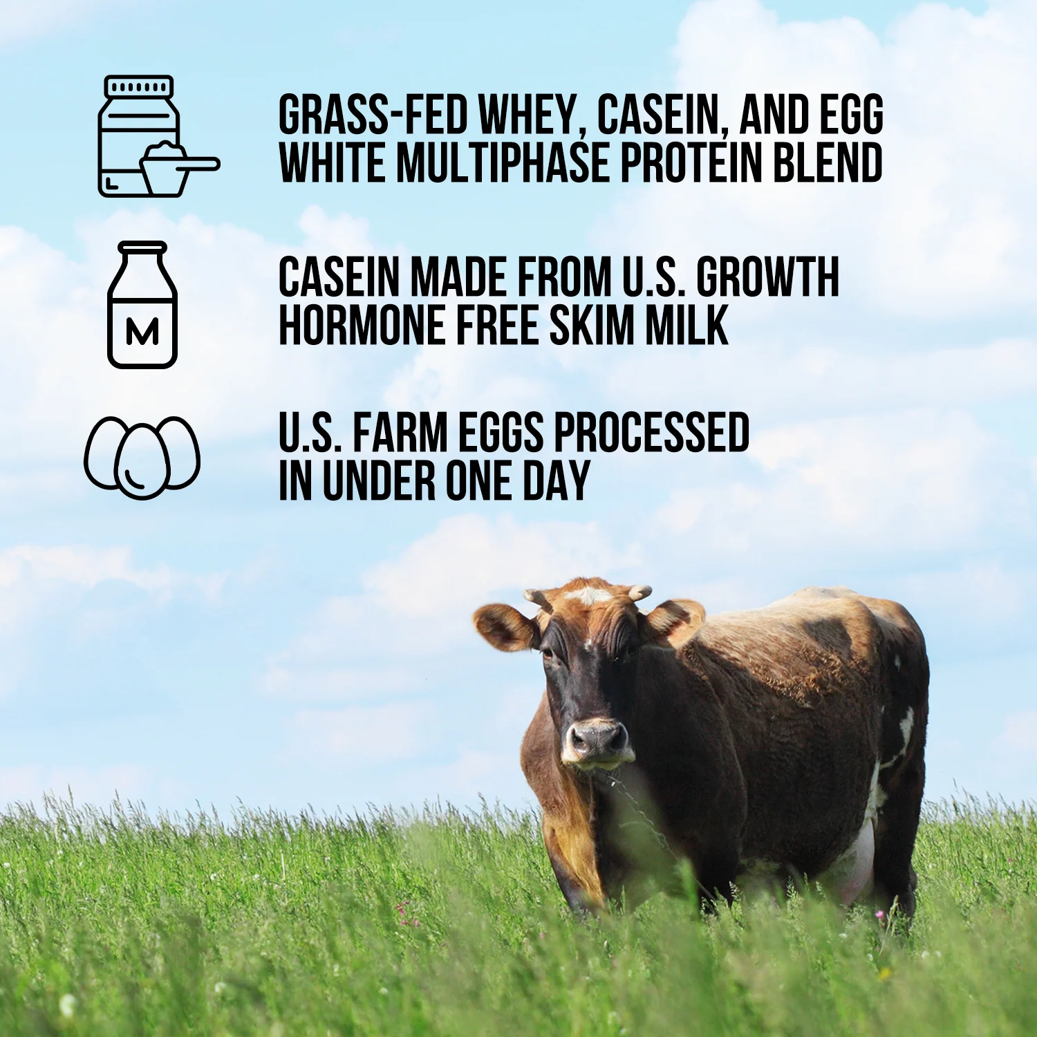 Protein Powder Blend - 3LB Egg, Whey & Casein Protein Blend | Naked Protein - 3LB - Image 2